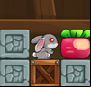 Who Moved My Radish