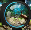 Hunter 3D