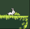 Bunny Hop