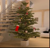 Christmas Escape