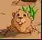 Whack a Groundhog